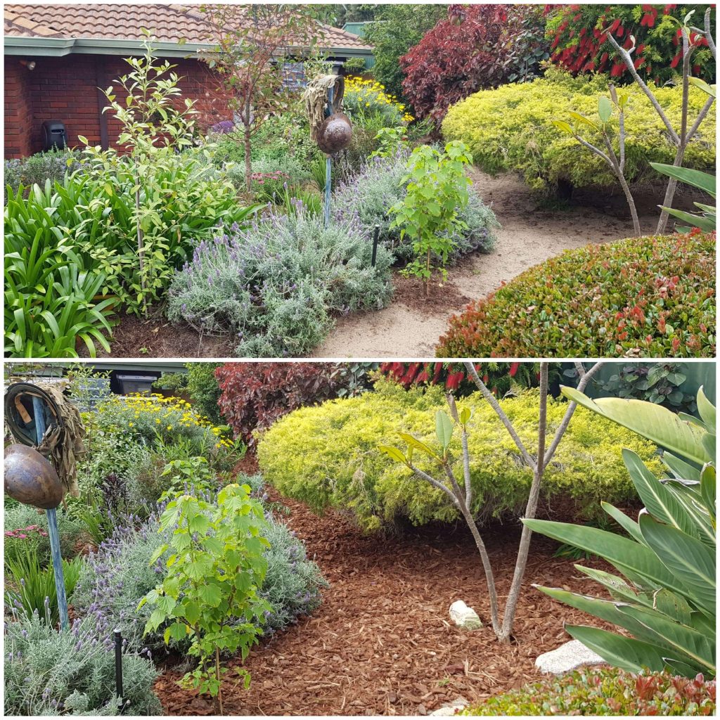 Before & After Mulch #1