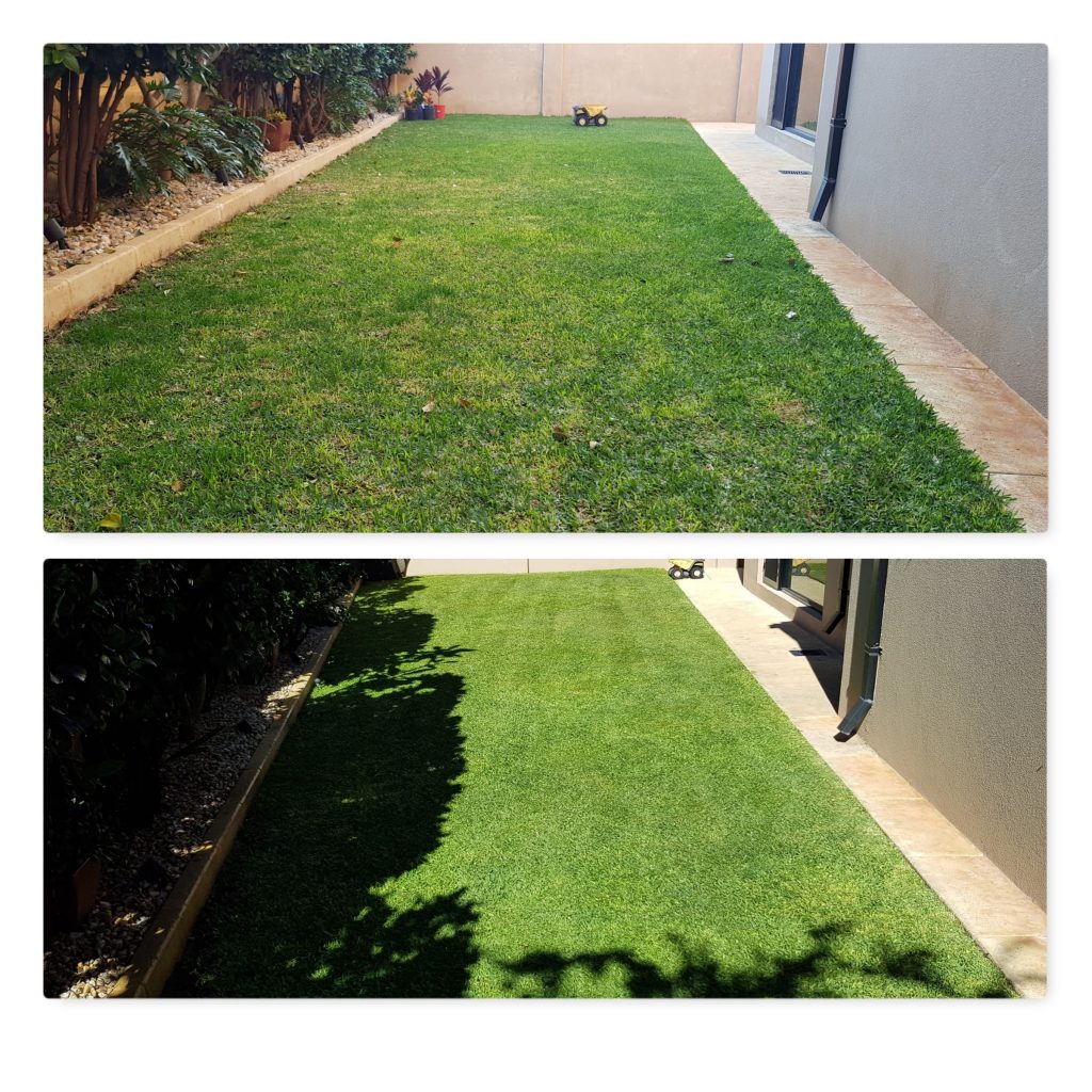 lawn before after
