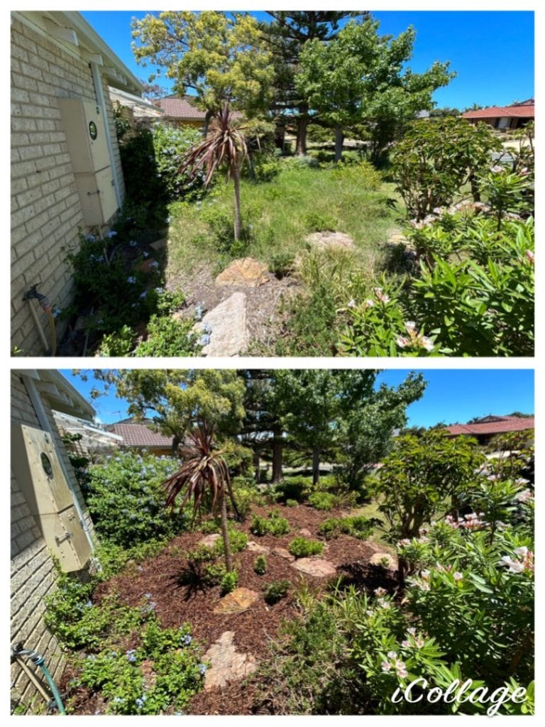 Perth Garden Maintenance